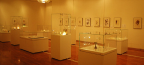 Project Exhibition Room
